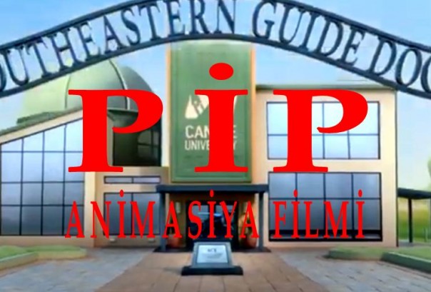 PİP ANİMASİYA FİLMİ