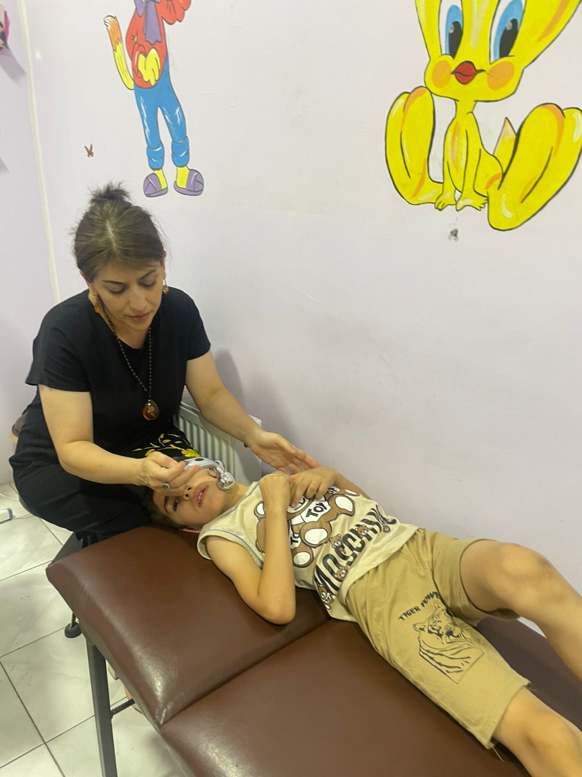 Центр социальной реабилитации в Шeки