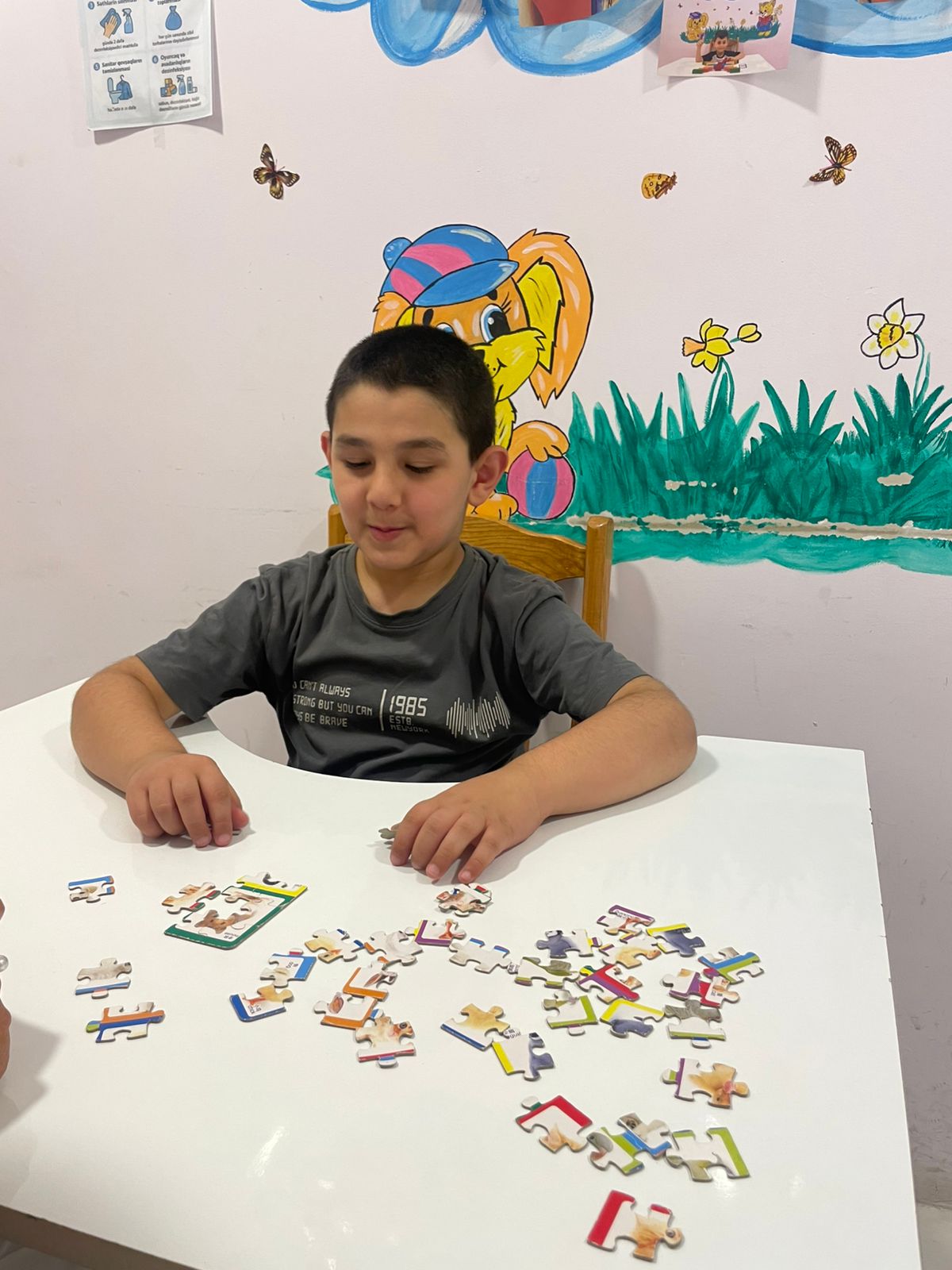 Центр социальной реабилитации в Шeки